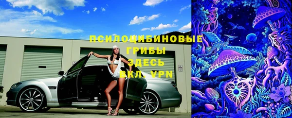 стафф Бронницы