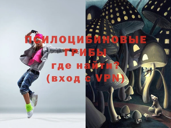 стафф Бронницы
