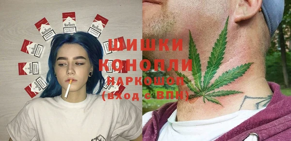 стафф Бронницы