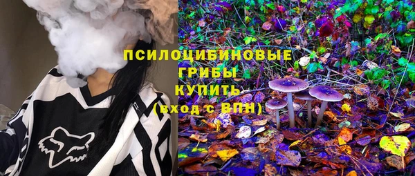 стафф Бронницы