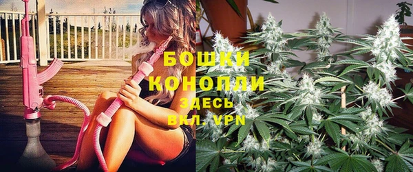 стафф Бронницы