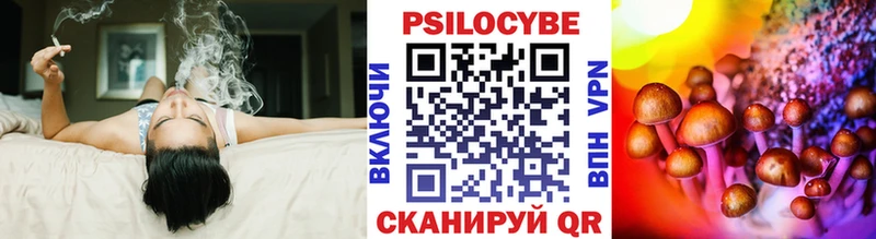 Псилоцибиновые грибы Psilocybine cubensis даркнет сайт mega tor Бузулук